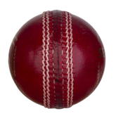 Set of 6 (Cricket Leather Ball)